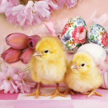Húsvét Lovely Chickens szalvéta 20 db-os 33x33 cm Húsvét Lovely Chickens szalvéta 20 db-os 33x33 cm