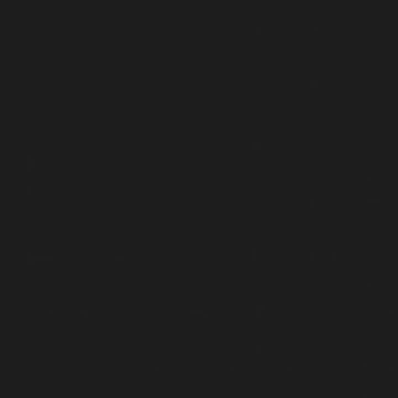 Fekete Maki szalvéta 20 db-os 25x25 cm