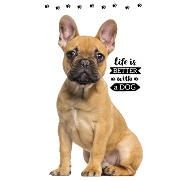 Kutyás Friend kéztörlő arctörlő, törölköző 30x50cm Kutyás Friend kéztörlő arctörlő, törölköző 30x50cm