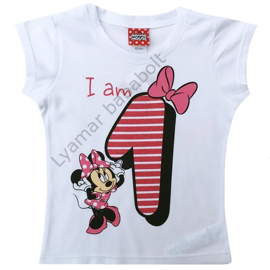 szulinapos-polo-disney-minnie