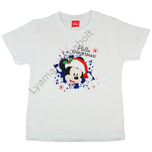 disney-mickey-karacsonyi-polo-fiu