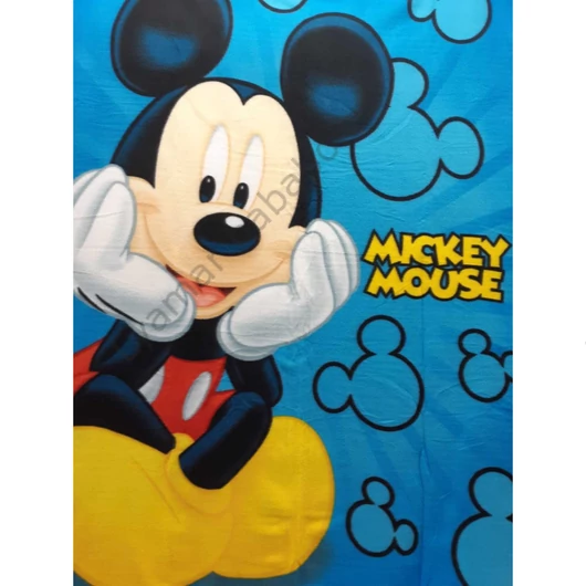 polar-takaro-mickey-disney