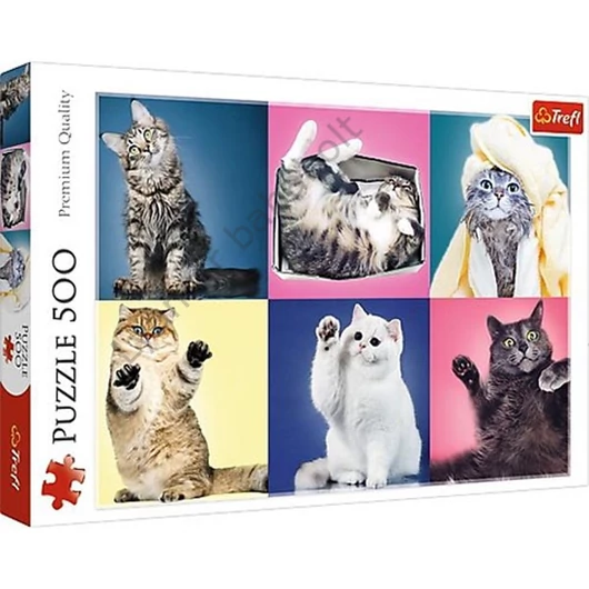 cicas-500-db-os-puzzle-trefl-cicak