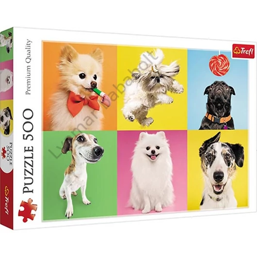 kutyas-kutyak-dogs-500-db-os-puzzle-trefl