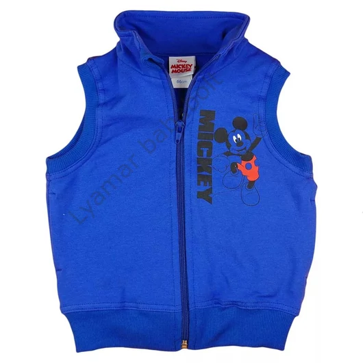 disney-mickey-gyerek-melleny