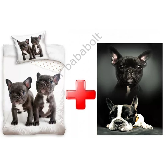 francia-bulldog-agynemuhuzat-polar-takaro-ajandekcsomag