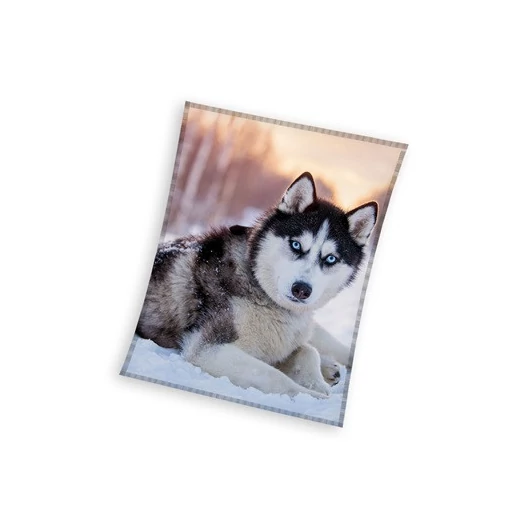 Kutyás Husky coral fleece polár takaró 150x200cm