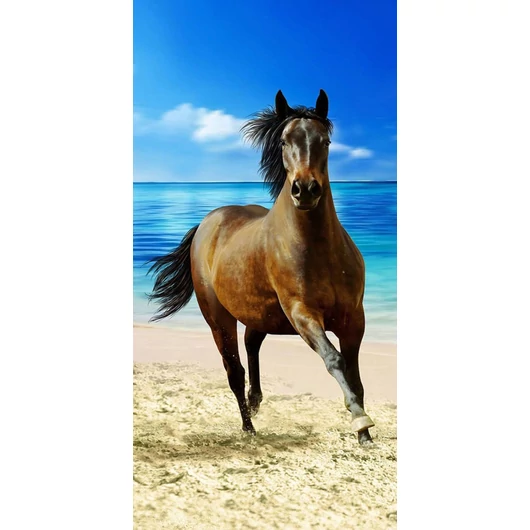 Lovas Beach fürdőlepedő, strand törölköző 70x140cm