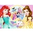 Kép 2/2 - disney-hercegnok-100dbos-ariel-belle-trefl-csillamlo-puzzle-1