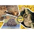 Kép 2/2 - national-geographic-vadvilagi-kalandor-puzzle-104-db-os-supercolor-clementoni-1