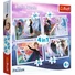 Kép 1/5 - jegvarazs-varazslat-az-erdoben-4-az-1-ben-puzzle-szett-trefl