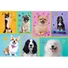 Kép 2/2 - kutyas-kutyak-dogs-puzzle-100-db-os-trefl-1