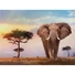 Kép 2/2 - elefantos-puzzle-afrikai-elefantok-1000dbos-trefl-1