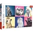 Kép 1/2 - cicas-500-db-os-puzzle-trefl-cicak