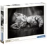 Kép 1/2 - cicas-cica-cat-hqc-1000db-os-puzzle-clementoni