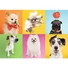 Kép 2/2 - kutyas-kutyak-dogs-500-db-os-puzzle-trefl-1