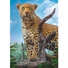 Kép 2/2 - leopard-500-db-os-puzzle-trefl-vad-leopard-1
