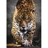 Kép 2/2 - jaguaros-setalo-jaguar-hqc-1000db-os-puzzle-clementoni-1