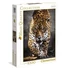 Kép 1/2 - jaguaros-setalo-jaguar-hqc-1000db-os-puzzle-clementoni