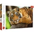 Kép 1/2 - tigrises-tigris-500-db-os-puzzle-trefl