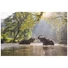 Kép 2/2 - elefant-elefantok-a-toban-1000db-os-puzzle-animal-planet-1