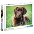 Kép 1/2 - kutyas-dog-chocolate-puppy-hqc-500db-os-puzzle-clementoni