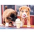 Kép 2/2 - kutyas-kutyak-dogs-500-db-os-puzzle-trefl-fagyizo-kutyakolykok-1