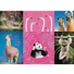 Kép 2/2 - bolondos allatok-animals-neon-color-line-1000dbos-trefl-puzzle-1