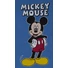 Kép 5/11 - 2 részes kisfiú szabadidő szett Mickey egér mintával