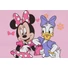 Kép 2/2 - Disney Minnie és Daisy kacsa lányka póló