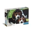 Kép 1/3 - Kutyás Beagles Close Together 500 db-os puzzle Clementoni