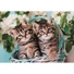 Kép 2/2 - Cicás Lovely Twins 60 db-os puzzle Clementoni