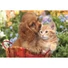 Kép 2/2 - Állatos Cute Friends 104 db-os maxi puzzle Clementoni