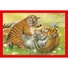Kép 5/5 - Állatos Baby Cuddles 4 az 1-ben puzzle Clementoni
