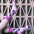 Kép 2/3 - Barbie Argyle női hosszú szárú zokni 36/43
