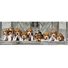 Kép 2/2 - Kutyás Beagles 1000 db-os panorama puzzle Clementoni