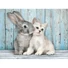 Kép 2/2 - Állatos Cat & Bunny 500 db-os puzzle Clementoni