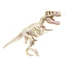 Kép 2/3 - Világító dinoszaurusz Archeo Fun T-Rex régészeti készlet Clementoni