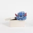 Kép 4/5 - Disney Lilo és Stitch, A csillagkutya 3D fürdőszivacs, fürdőpamacs