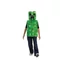 Kép 1/4 - Minecraft Essential jelmez 3-4 év