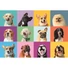 Kép 2/2 - Állatos Funny Faces 300 db-os puzzle Clementoni