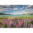 Kép 2/2 - Új-Zéland Lake Tekapo 1500 db-os puzzle Clementoni