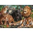 Kép 2/2 - Állatos Wild Cats 500 db-os Compact puzzle Clementoni