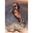 Kép 2/2 - Lovas Wild Stallion 500 db-os Compact puzzle Clementoni