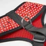 Kép 3/7 - Disney Minnie Dots kutyahám XS-S