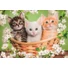 Kép 2/2 - Állatos Brothers in Fur 2x60 db-os puzzle Clementoni