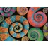 Kép 2/4 - Színes Curly Tails 500 db-os Compact puzzle Clementoni