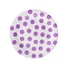 Kép 1/3 - Pöttyös Lavender Polka Dots papírtányér 6 db-os 18 cm