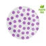 Kép 2/3 - Pöttyös Lavender Polka Dots papírtányér 6 db-os 18 cm