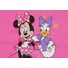 Kép 2/3 - Disney Minnie és Daisy kacsa lányka póló